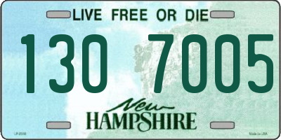 NH license plate 1307005