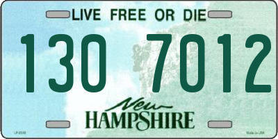 NH license plate 1307012