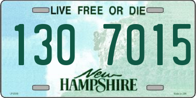 NH license plate 1307015
