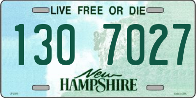 NH license plate 1307027