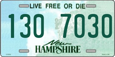 NH license plate 1307030