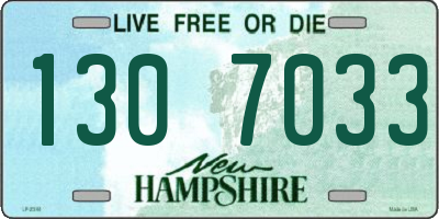NH license plate 1307033