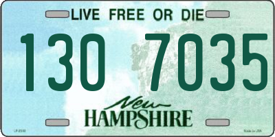 NH license plate 1307035