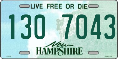 NH license plate 1307043