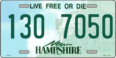 NH license plate 1307050
