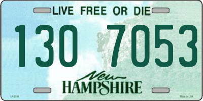 NH license plate 1307053