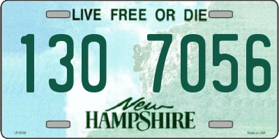 NH license plate 1307056