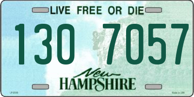 NH license plate 1307057