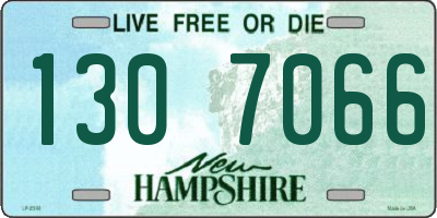 NH license plate 1307066