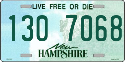 NH license plate 1307068
