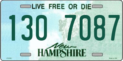 NH license plate 1307087