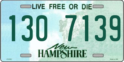 NH license plate 1307139