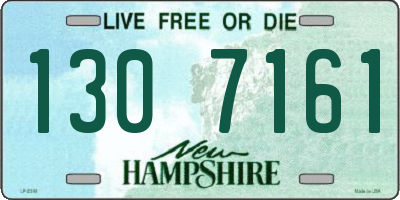 NH license plate 1307161