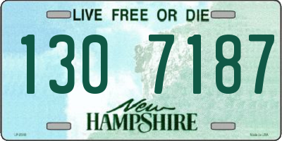 NH license plate 1307187