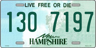 NH license plate 1307197