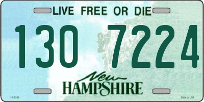 NH license plate 1307224