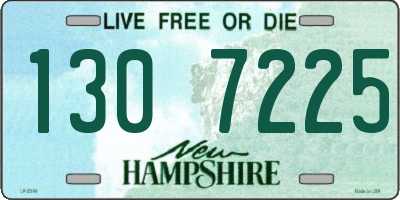 NH license plate 1307225