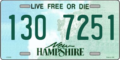 NH license plate 1307251