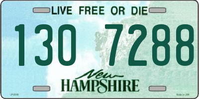 NH license plate 1307288