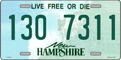 NH license plate 1307311
