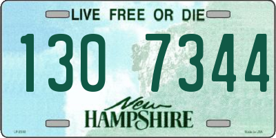 NH license plate 1307344