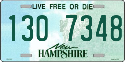 NH license plate 1307348