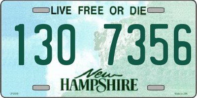 NH license plate 1307356