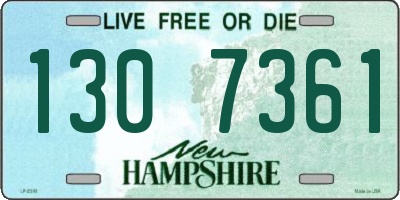 NH license plate 1307361