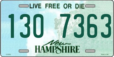NH license plate 1307363