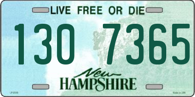 NH license plate 1307365