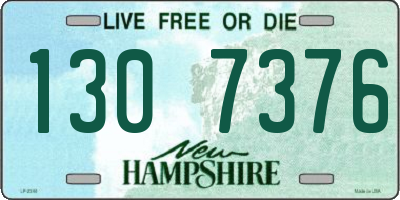 NH license plate 1307376