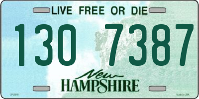 NH license plate 1307387