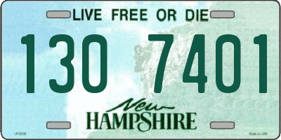 NH license plate 1307401