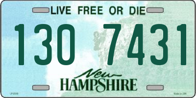 NH license plate 1307431