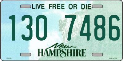 NH license plate 1307486