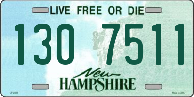 NH license plate 1307511