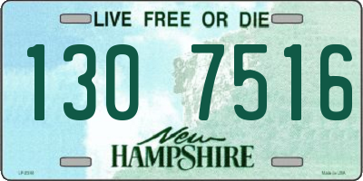 NH license plate 1307516