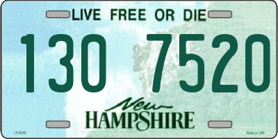 NH license plate 1307520