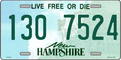 NH license plate 1307524