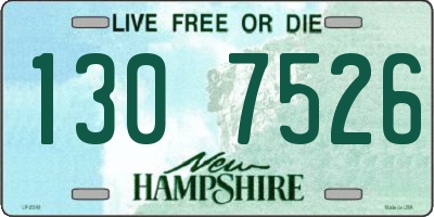 NH license plate 1307526