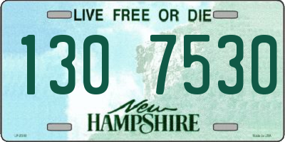 NH license plate 1307530