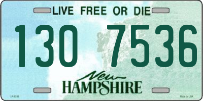 NH license plate 1307536