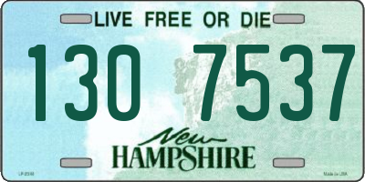 NH license plate 1307537