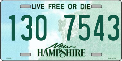 NH license plate 1307543