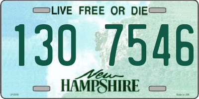 NH license plate 1307546