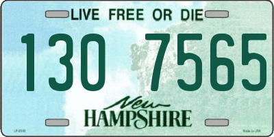 NH license plate 1307565