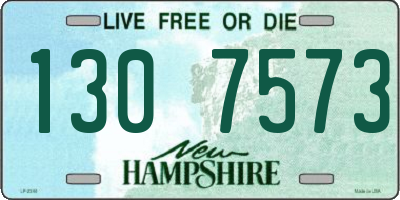 NH license plate 1307573