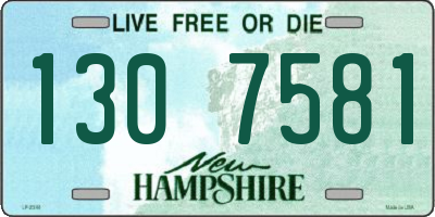 NH license plate 1307581