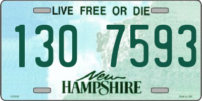 NH license plate 1307593