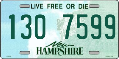 NH license plate 1307599